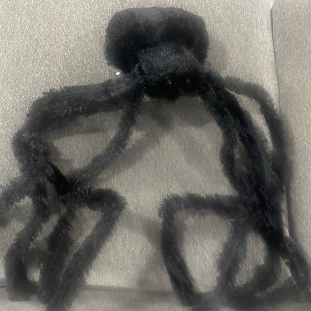Halloween Spider decorations